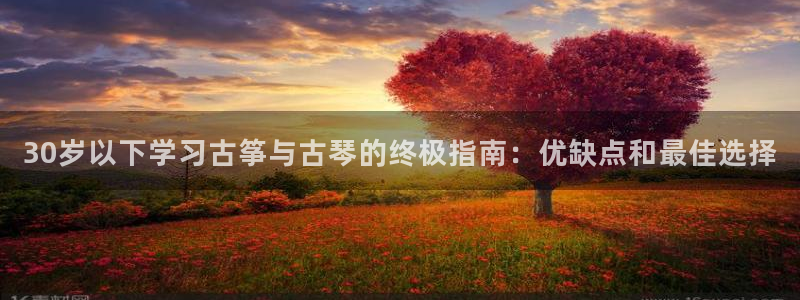 凯发k8国际app：30岁以下学习古筝与古琴的终极指南：优缺