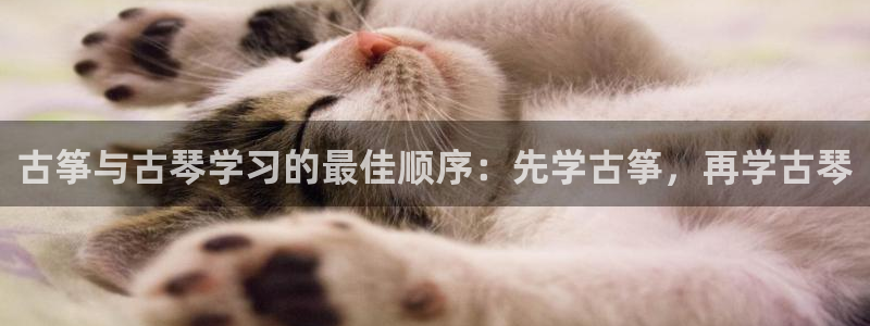 凯发旗舰厅