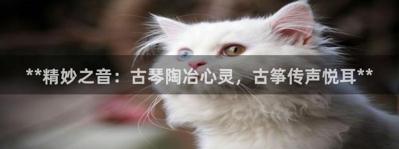 凯发k8旗舰厅app下载可靠送38元