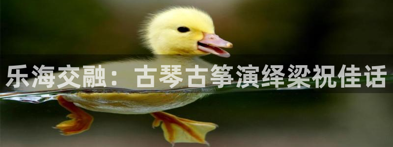 凯发手机官网