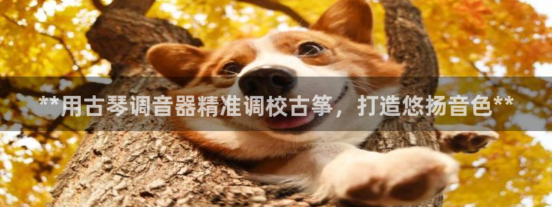 凯发国际网站官网