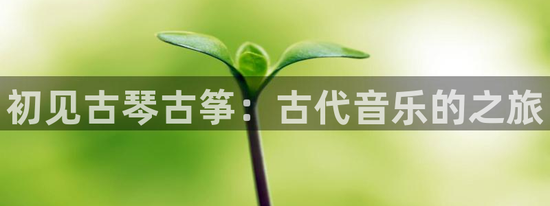 凯发k8国际手机网页