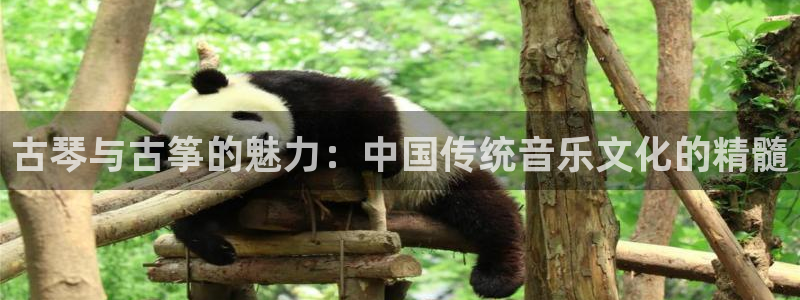 凯发k8娱乐