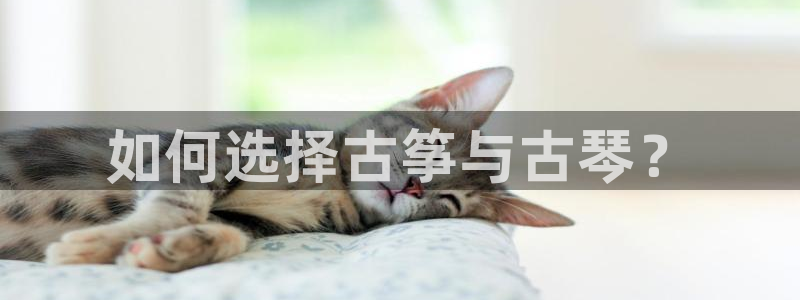 凯发手机官网
