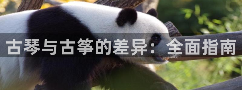 凯发k8官网下载客户端中心