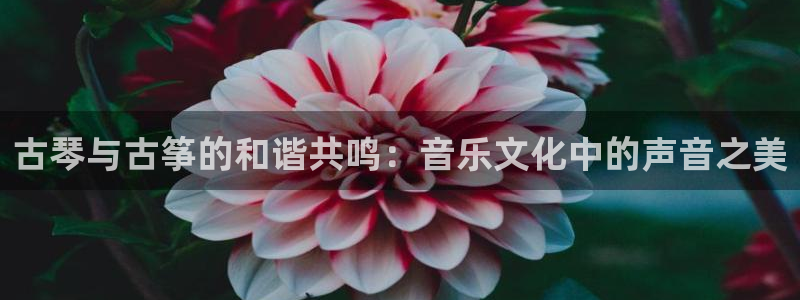 凯发k8官网下载客户端中心