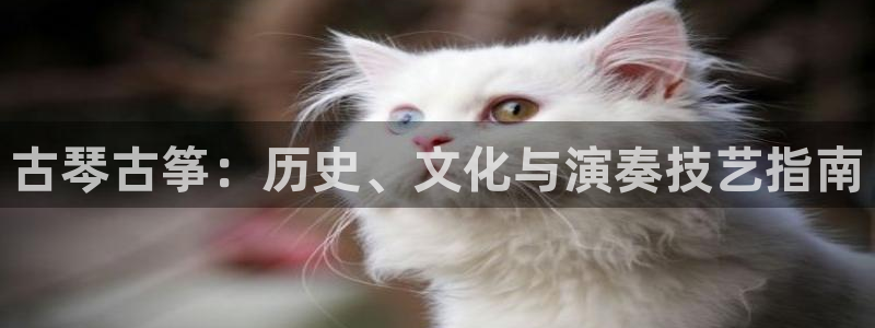 凯发k8国际下载