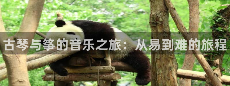 凯发网站是多少
