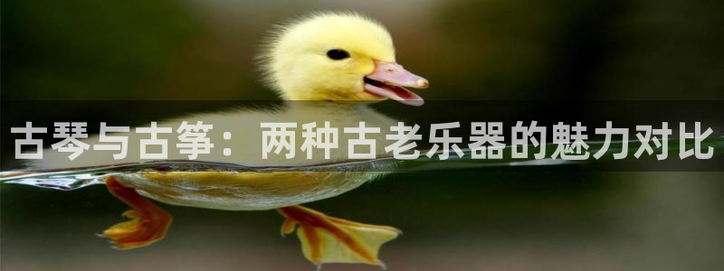 凯发旗舰厅