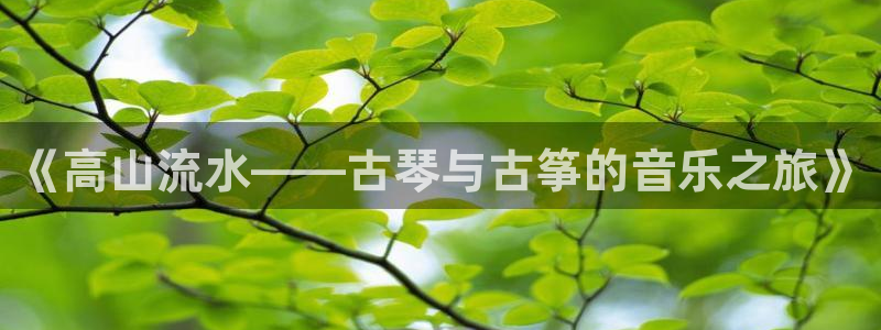 凯发手机官网客户端：《高山流水——古琴与古筝的音乐之旅》