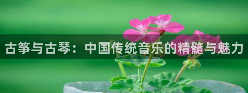 凯发在线官网登录下载：古筝与古琴：中国传统音乐的精髓与魅力