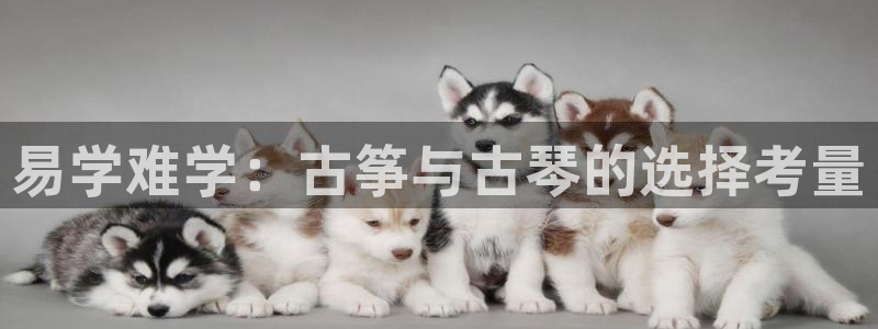 凯发平台8：易学难学：古筝与古琴的选择考量