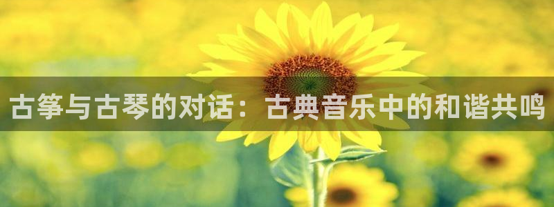 国际凯发k8真人版旗舰厅：古筝与古琴的对话：古典音乐中的和谐
