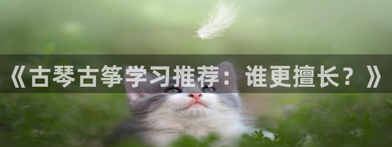 凯发k8官方网娱乐官方：《古琴古筝学习推荐：谁更擅长？》