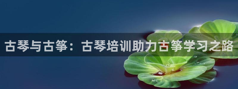 凯发官网登录地址陆地：古琴与古筝：古琴培训助力古筝学习之路