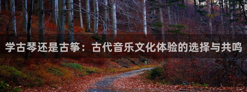 凯发k8娱乐是真实的吗：学古琴还是古筝：古代音乐文化体验的选