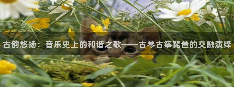凯发k8娱乐旗舰：古韵悠扬：音乐史上的和谐之歌——古琴古筝琵