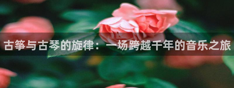 凯发国际怎么赚钱：古筝与古琴的旋律：一场跨越千年的音乐之旅