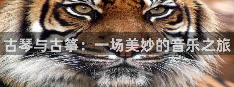 凯发是正规平台吗