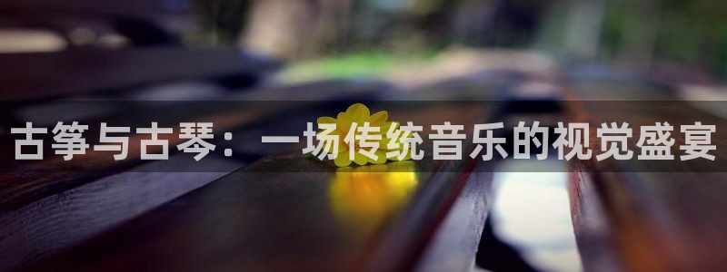 凯发平台开户：古筝与古琴：一场传统音乐的视觉盛宴