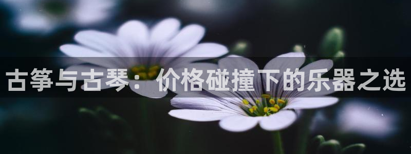 凯发k8全球公开