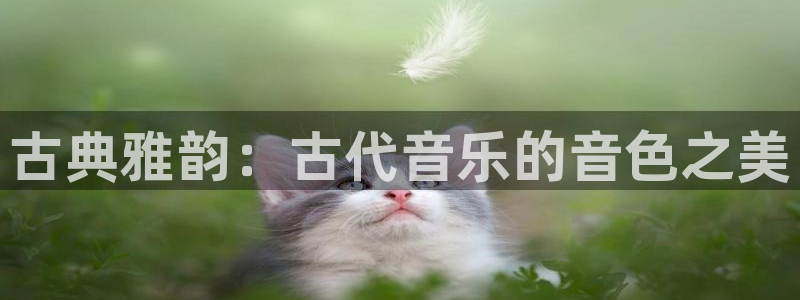 凯发平台医7O777：古典雅韵：古代音乐的音色之美